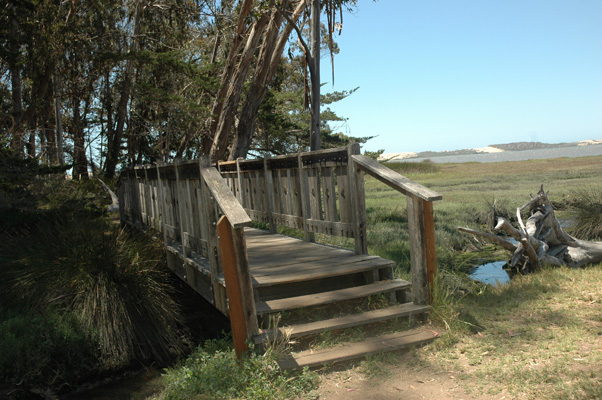 Morro Bay 034.JPG